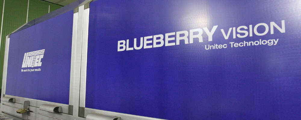 Blueberry Vision: macchina calibratrice per mirtilli