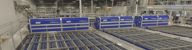 il sistema di calibratura Unitec Cherry Vision 2 per The Dalles Fruit Unitec Cherry Vision per la calibratura delle ciliegie di The Dalles Fruit