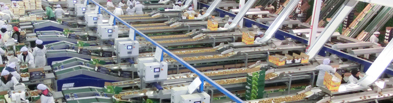 Unitec lancia la Divisione Packaging a Macfrut