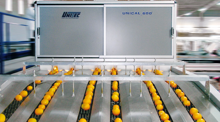 Linee di lavorazione per arance e agrumi Unitec