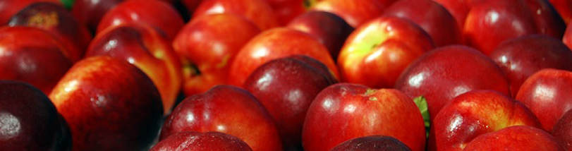 peach-symposium